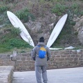 Libellula dromus