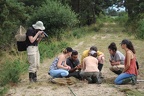 Formation odonates - Merle-Leignec