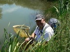 jmf 2012