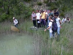 Marais des Bouligons 2007