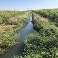 Canal Pierrelatte