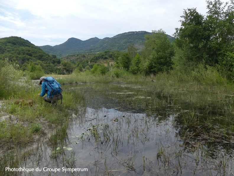 Hab conf Bentrix-Aygues - 03:07:21.JPG