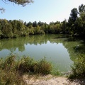 Bachassier (plantation arbustes)  Chabeuil - Drôme.
