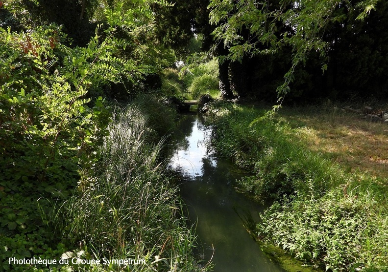 Berre de Sérignan (Ruisseau) Pierrelatte. Drôme..jpg